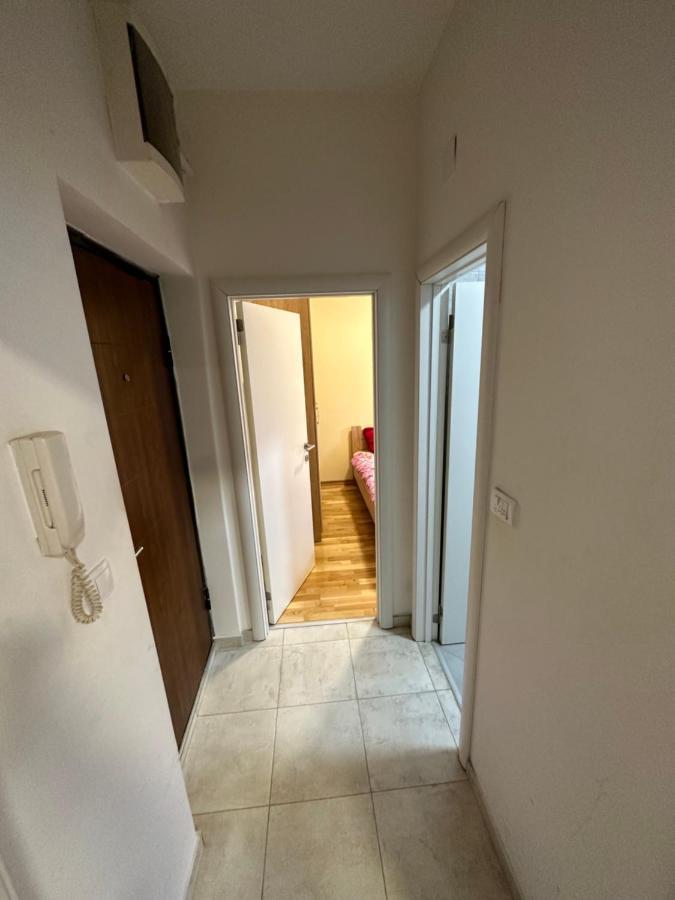 Selena Apartment ポドゴリツァ エクステリア 写真